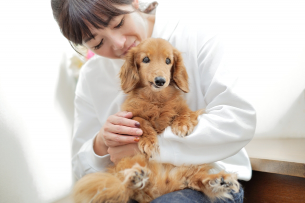 愛犬を可愛がる女性